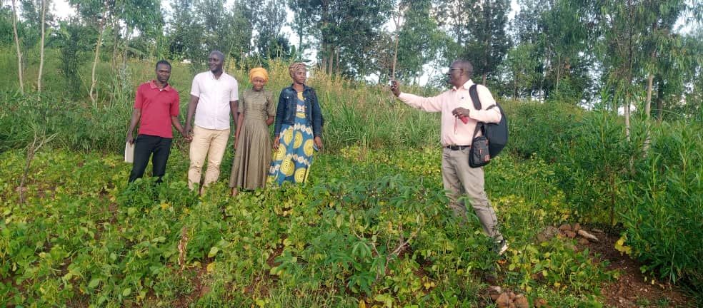 Visite de terrain d'un projet agricole d'un Club Justice et Paix